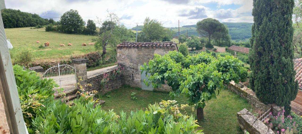 La Ferme Du Paradis Verfeil-sur-Seye Bagian luar foto